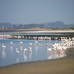 The Boat ספינת מלון