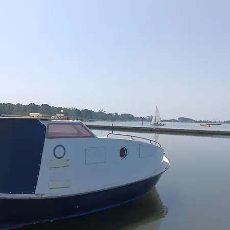 The Boat