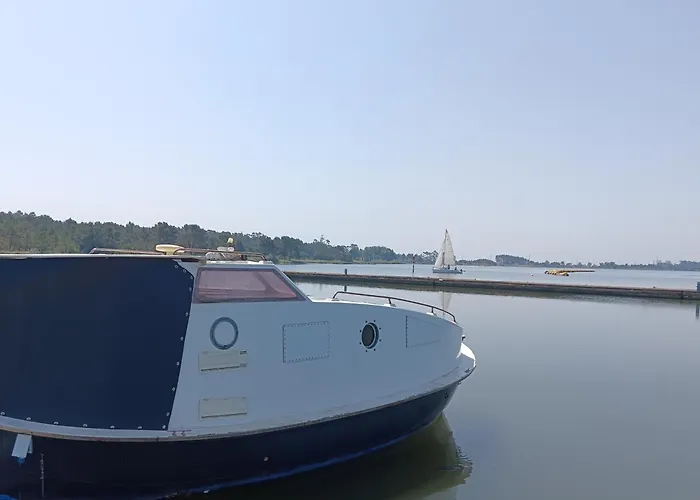The Boat